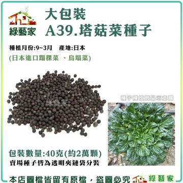 【綠藝家】大包裝A39.塔菇菜種子40克(約2萬顆)(日本進口蹋稞菜 、烏塌菜)