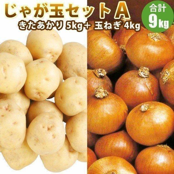 じゃがいも ジャガイモ じゃが玉セットＡ きたあかり LM L 2L 5kg 玉ねぎ 4kg （新じゃがいも） 野菜 北海道産 産直 内祝 北海道ギフト