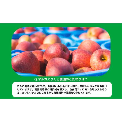 ふるさと納税 長野県 飯綱町 りんご サンふじ 訳あり 10kg マルカズりんご農園 沖縄県への配送不可 2023年11月下旬頃から2024年1月中旬頃まで順次発送予定 令…