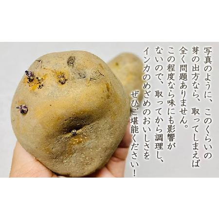 ふるさと納税 ＜2024年7月中旬よりお届け＞「清水農園」旬の野菜の定期便（3回お届け） 北海道壮瞥町