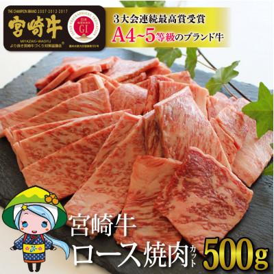 ふるさと納税 美郷町 宮崎牛　ロース焼肉　約500g