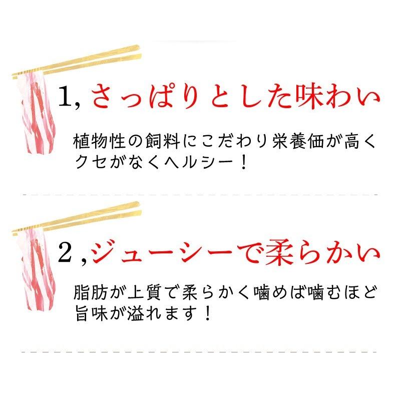 ギフト 宮崎県産きじょん山豚 しゃぶしゃぶ用 肩ロース 600g 3人前  ギフト対応可 送料無料 グルメ Y凍