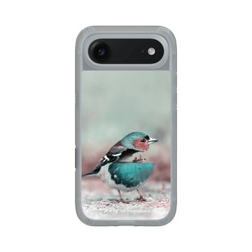 iPhone Air AirX 流變灰 - Julien Tabet - 水鳥