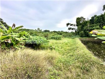 近藝術大學俗俗賣都內農地｜台南市官田區官中段​
