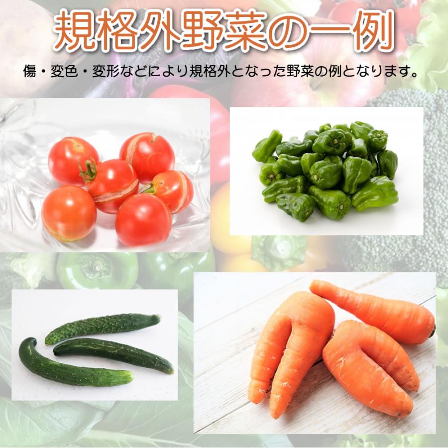 訳あり野菜 規格外野菜 とれたて新鮮 旬の 野菜セット 野菜詰め合わせ 4〜5種 ふぞろい 大きさお任せ 協生農法 有機野菜 入り 三重県 伊勢産 産地直送 送料無料