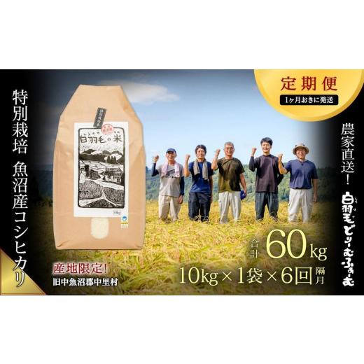 ふるさと納税 新潟県 十日町市 ≪令和5年産≫農家直送！魚沼産コシヒカリ特別栽培「白羽毛の米」精米(10kg×1袋)×6回…