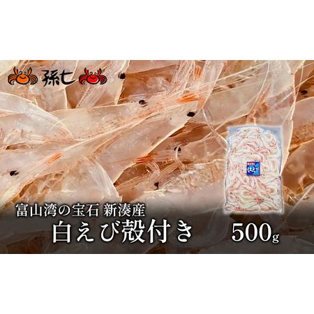 ふるさと納税 白えび殻付き500g 富山県射水市