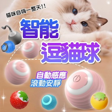 貓咪遊戲球 逗貓球 貓草款上市【會動的逗貓球】 逗貓球 效果超讚 自動逗貓球 逗貓玩具 寵物玩具 貓玩具 安靜有效逗貓