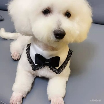 💯臺灣出貨💯免運💯紳士風領結寵物口水巾狗狗配飾柴犬裝飾貓咪圍巾飾品三角巾圍嘴 OLMM