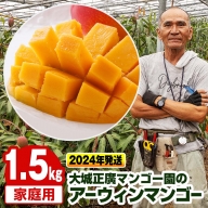 大城正廣マンゴー園のアーウィンマンゴー（家庭用）1.5kg