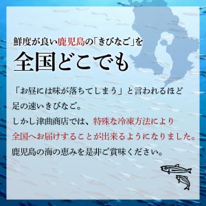  きびなご 一夜干し、 フライ用 詰合せ 1kg　K100-001 薩摩 さつま 鹿児島県 鹿児島市 鹿児島 大人気きびなご 人気きびなご 大人気きびなごフライ 人気きびなごフライ 大人気一夜干し 人気一夜干し 大人気きびなご一夜干し 人気きびなご一夜干し きびなご きびなごフライ 一夜干し きびなご一夜干し 衣付き 揚げ物 魚 魚介