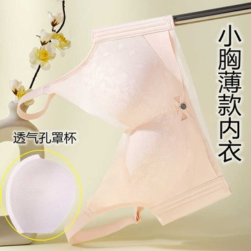 🚀虧本到貨🚀日本🇯🇵 內衣女小胸聚攏薄款透氣上托收副乳防下垂無鋼圈調整型文胸罩新款