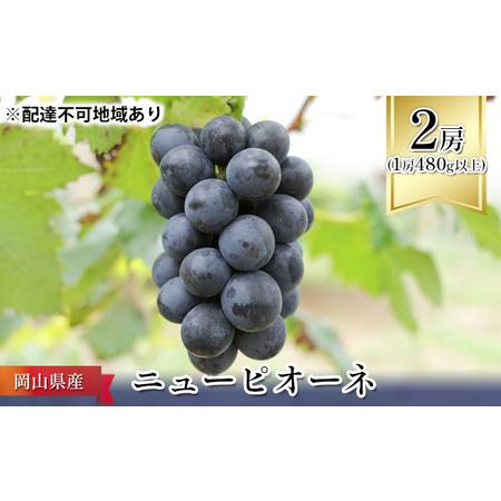 ふるさと納税 ぶどう 2024年 先行予約 ニュー ピオーネ 2房（1房480g以上） ブドウ 葡萄  岡山県産 国産 フルーツ 果物 ギフト 岡山県瀬戸内市