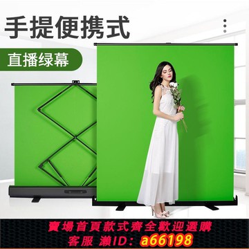 【台灣公司 可開發票】可升降地拉幕布便攜式直播間背景墻3D立體直播專用摳像背景布拍攝