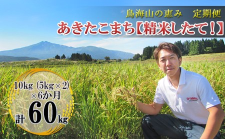 10kg（5kg×2袋）×6ヶ月 鳥海山の恵み 農家直送！ あきたこまち［精米 したて！］