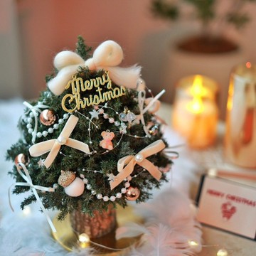 浪漫可愛珍珠 永生雪松聖誕樹 25CM永生聖誕樹