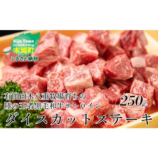 ふるさと納税 宮崎県 木城町 ＜木城ブランチ　有田白木八重牧場育ちの陸の王者黒毛和牛サーロインダイスカットステーキ　250g＞ K20_0019_1