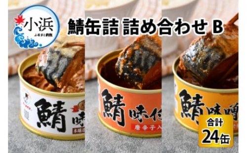 鯖缶詰 24缶 詰め合わせB 180g×24缶 本醸造醤油仕立て 唐辛子 味噌煮