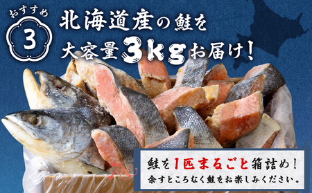 北海道産 新巻鮭 切り身 3kg 塩鮭 冷凍 鮭 しゃけ おかず お弁当 魚 海鮮 〈斉藤水産〉 AM085