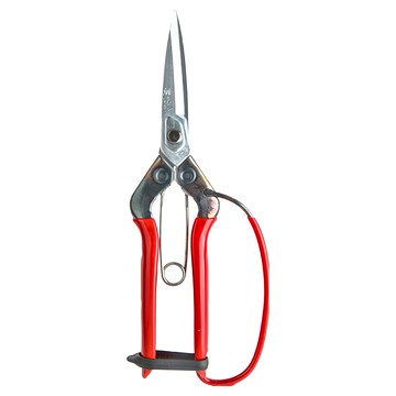 CHIKAMASA 近正 松葉鋏 T-710GDX  1支