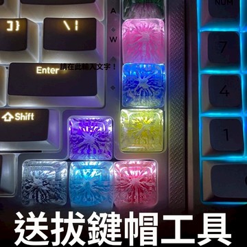 【Oasis Studio】鍵盤鍵帽 龍骨鍵帽 透光個性鍵帽 按鍵帽 機械鍵盤 單個鍵帽 鍵盤裝飾 個性鍵帽 男友禮物