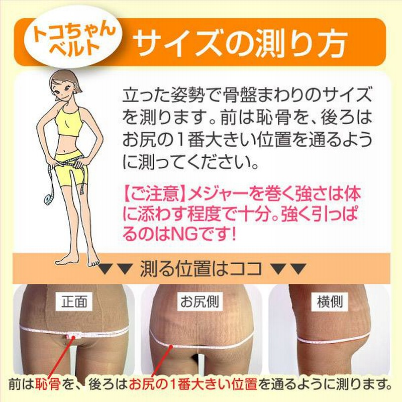 青葉 産前 産後 トコちゃんベルト2 ( II ) 紺 Mサイズ - その他