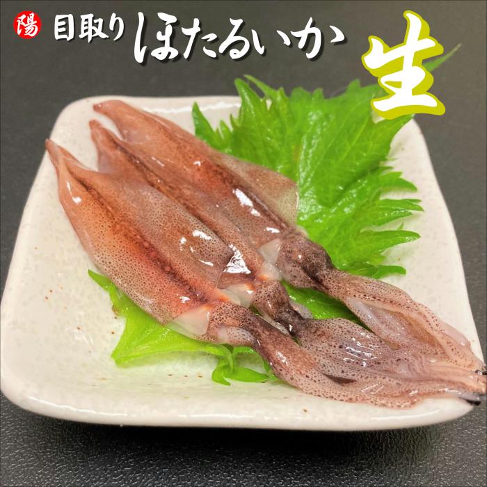 目取りホタルイカ 生食用 500g 冷凍 海鮮 海産物