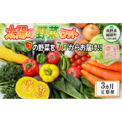 野菜 太陽の野菜セット 【 7月から 3か月 定期便 】 季節ごと旬の野菜 配送先は本州限定  2024年7月中旬頃から2024年9月中旬頃まで順次発送予定 ビオ農産物 太陽の恵み ( 化学肥料 除草剤 不使用 ) 長野県 飯綱町 [1040]  | LINEブランドカタログ