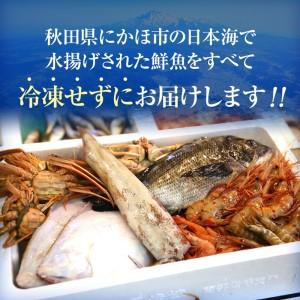 ふるさと納税 発送メールのみ 日本海の鮮魚詰め合わせ（2〜3人前 下処理済み 切り身 魚介 セット） 秋田県にかほ市