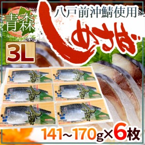 国産 ”しめさば” 3Lサイズ 約141～170g×《6枚》 〆鯖 しめ鯖 タケワ 送料無料