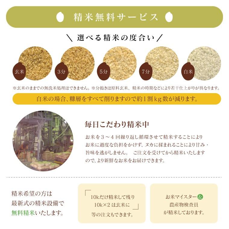 新米 令和５年 お米 10kg 福島県産 ミルキークイーン 無洗米 送料無料 精米  米