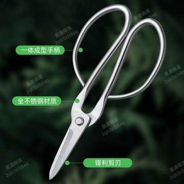 免運費⭐葉芽剪全不鏽鋼園藝剪葉芽剪嫩芽剪刀插花盆景枝葉剪修枝小枝剪樹