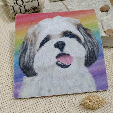 西施-妹醬-不織布杯墊-吸水杯墊~彩虹暈染