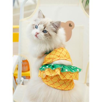 可愛菠蘿泳裝小貓咪衣服防掉毛薄款布偶貓幼貓加菲貓寵物奶貓夏天