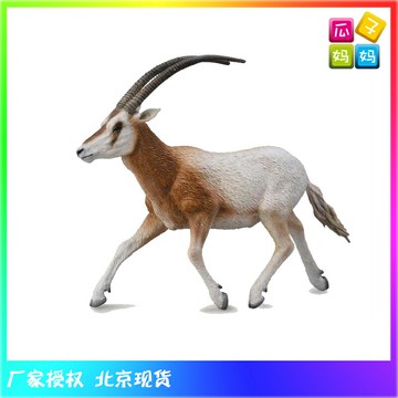 collecta我你他 彎角大羚羊 仿真非洲草原野生動物模型玩具88637