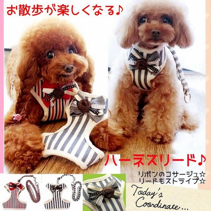 犬 ハーネス 犬ハーネスリードセット 犬のハーネス ハーネスリード付き おしゃれ 犬の胴輪 小型犬 中型犬 脱げない 簡単装着 犬用ハーネス リボン 犬服  猫 通販 LINEポイント最大GET | LINEショッピング