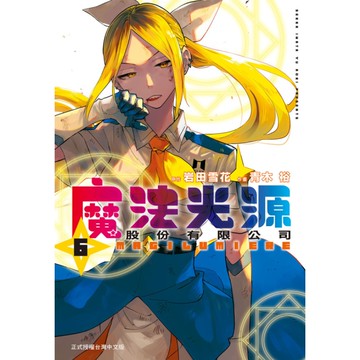 魔法光源股份有限公司(6)