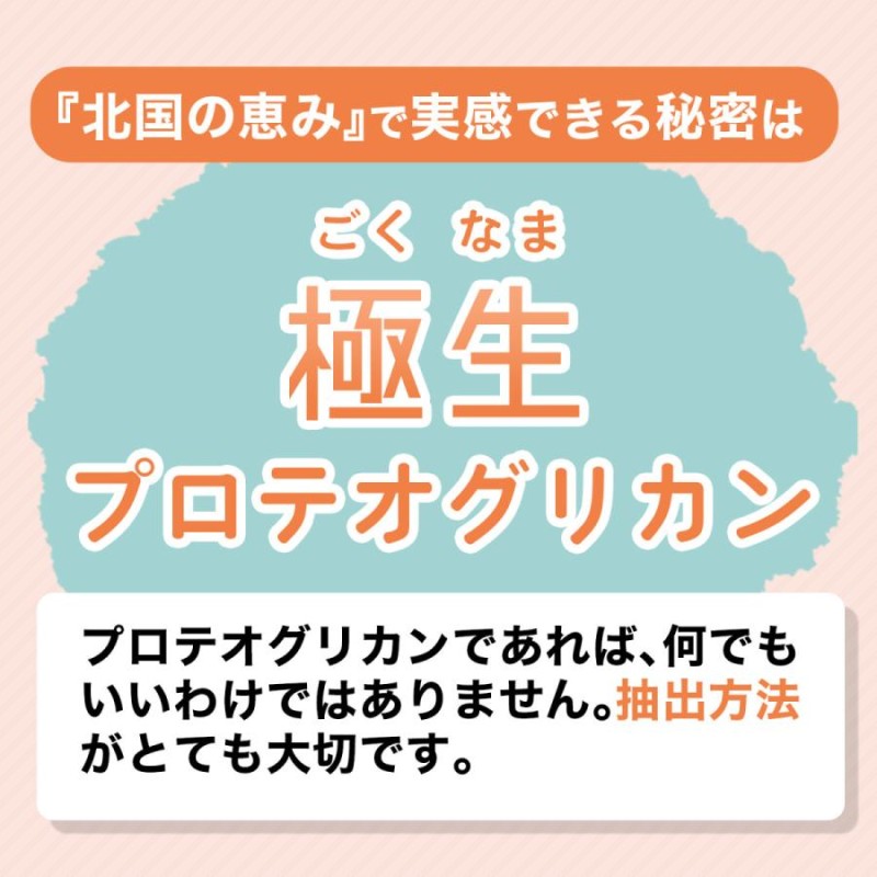 北国の恵み 93粒×3袋 約3ヶ月分 プロテオグリカン サプリ サプリメント