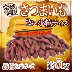 ”さつまいも” 秀品 2S～小粒サイズ 約5kg 品種おまかせ 産地厳選 送料無料