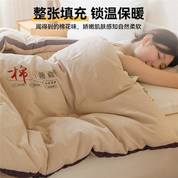 2026新款100%新疆棉花被子被芯秋冬款加厚學生宿舍棉被春秋被冬被