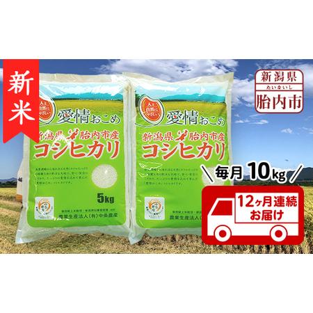 ふるさと納税 16-K10Z新潟県胎内市産コシヒカリ10kg（5kg×2袋） 新潟県胎内市