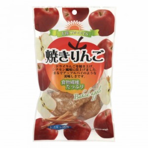 タクマ食品 焼りんごシナモン味 60袋（10×6個入） |b03