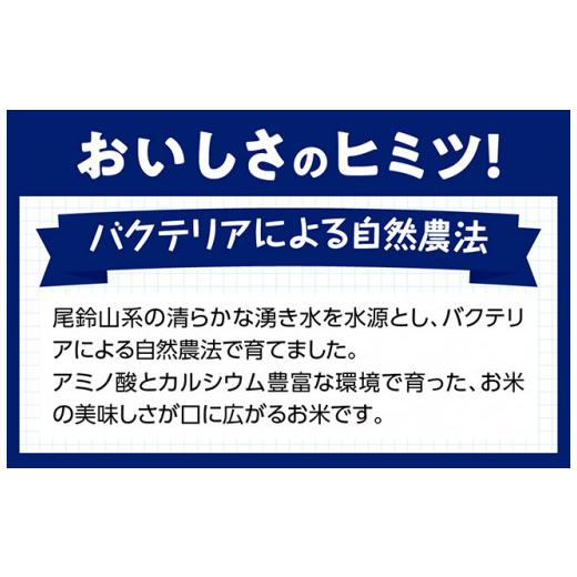 ふるさと納税 宮崎県 川南町 宮崎県産こしひかり「シタギリ米」10kg