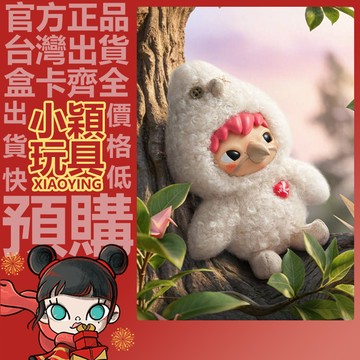 【小穎玩具】隱藏款 DEAR BIRDS 系列 毛絨公仔掛件 盲盒 盲抽 正版 泡泡瑪特 中盒 端盒 整套 確認款 禮物