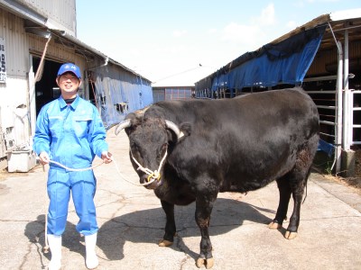 焼肉おがわ長崎和牛A5ランク特選サーロインステーキ4枚計1kg