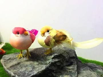 種動物模型 仿真小鳥 胖鳥 羽毛喜鵲 攝影教科舞臺道具