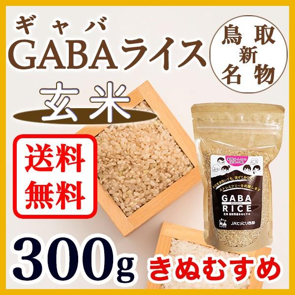 GABA RICE 玄米 きぬむすめ 300g