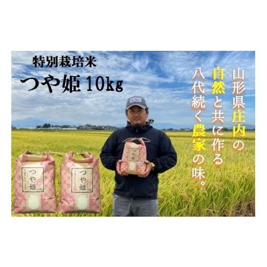 ふるさと納税 山形県 三川町 大沼ファームの特別栽培米つや姫10kg