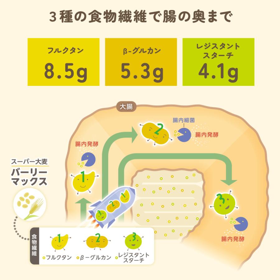 スーパー大麦 バーリーマックス 850g 腸の奥まで届く 食物繊維がもち麦の2倍！ レジスタントスターチ β-グルカン フルクタン含有