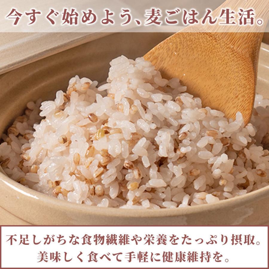 セール 国産 もち麦 4.5kg(450g×10袋) （翌日発送） 無添加 無着色 雑穀 雑穀米 ダイエット 置き換え 食品 食物繊維 送料無料